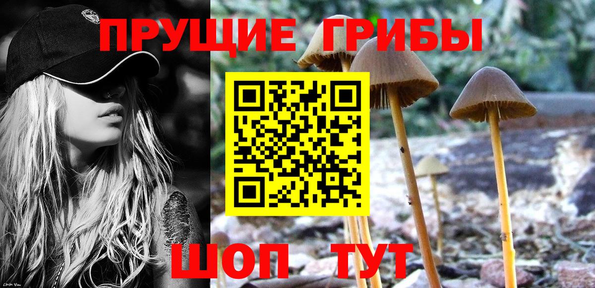 Галлюциногенные грибы GOLDEN TEACHER Махачкала