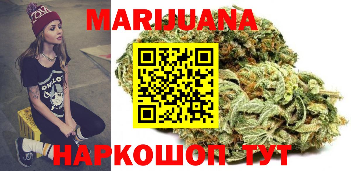 Шишки марихуана марихуана  Бошки марихуана план  Махачкала  Вход с VPN 